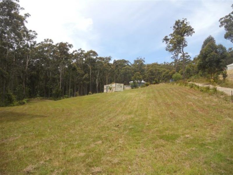 51 Tree Fern Place, Long Beach NSW 2536