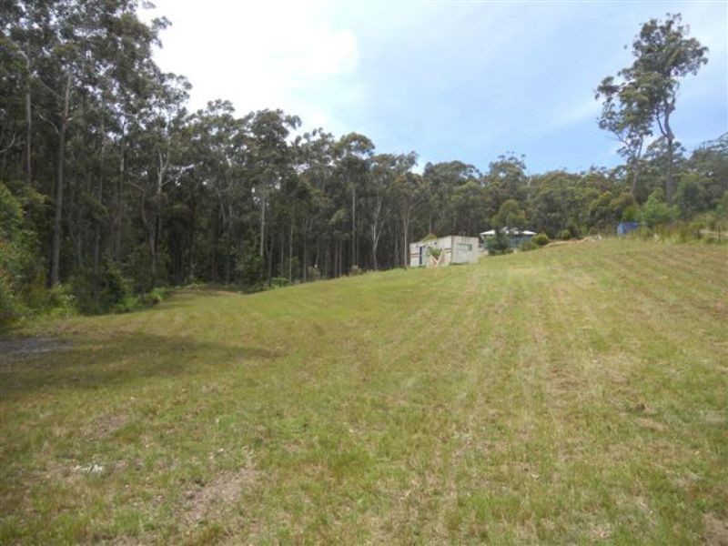 51 Tree Fern Place, Long Beach NSW 2536