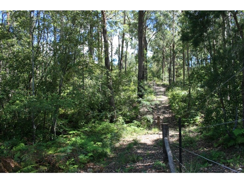 51 Tree Fern Place, Long Beach NSW 2536