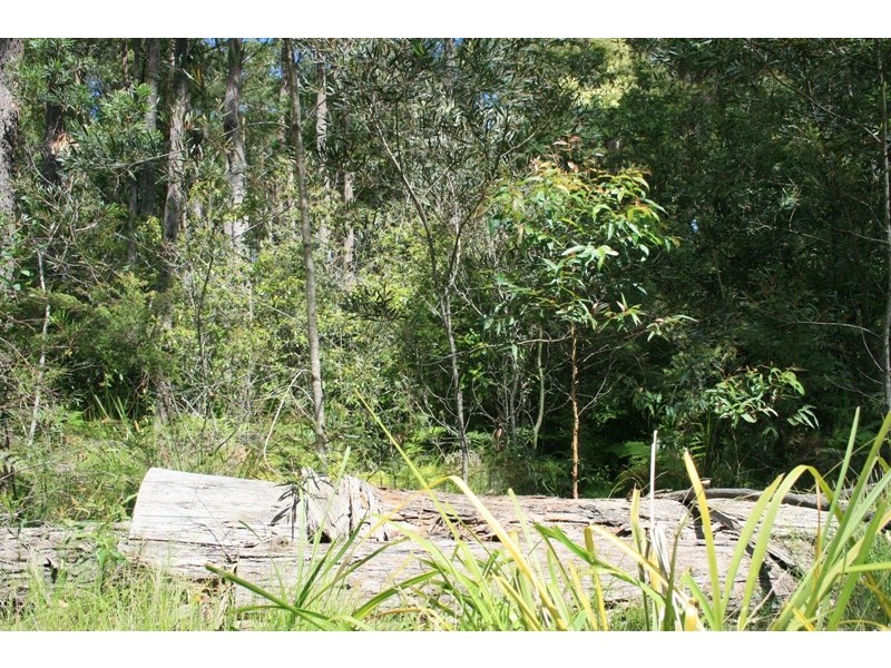51 Tree Fern Place, Long Beach NSW 2536