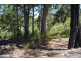 Lilli Pilli NSW 2536