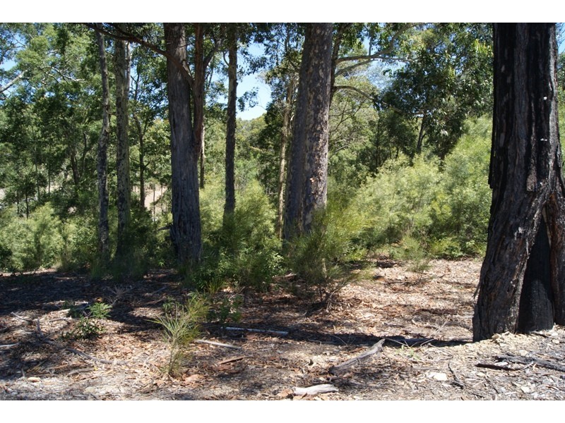 Lilli Pilli NSW 2536