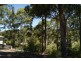 Lilli Pilli NSW 2536