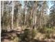 Moruya NSW 2537