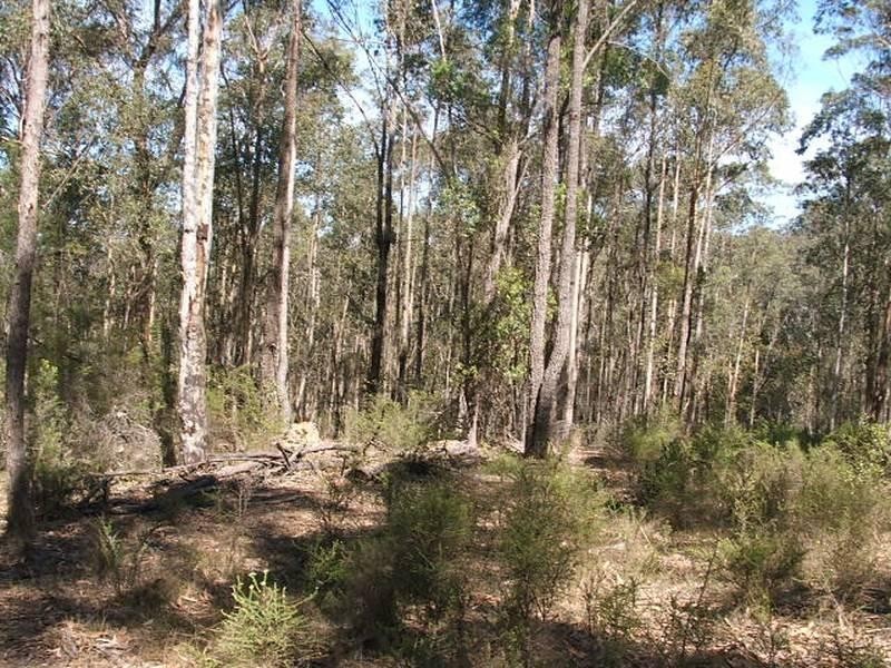 Moruya NSW 2537