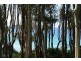 Rosedale NSW 2536