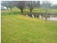 Moruya NSW 2537
