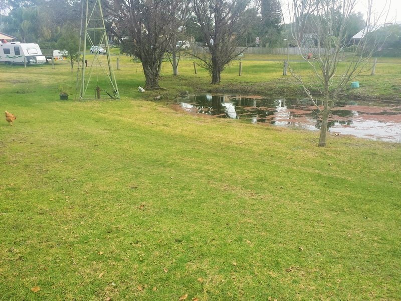 Moruya NSW 2537