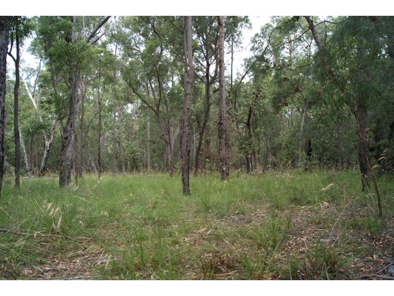 Mogo NSW 2536