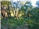 Batemans Bay NSW 2536