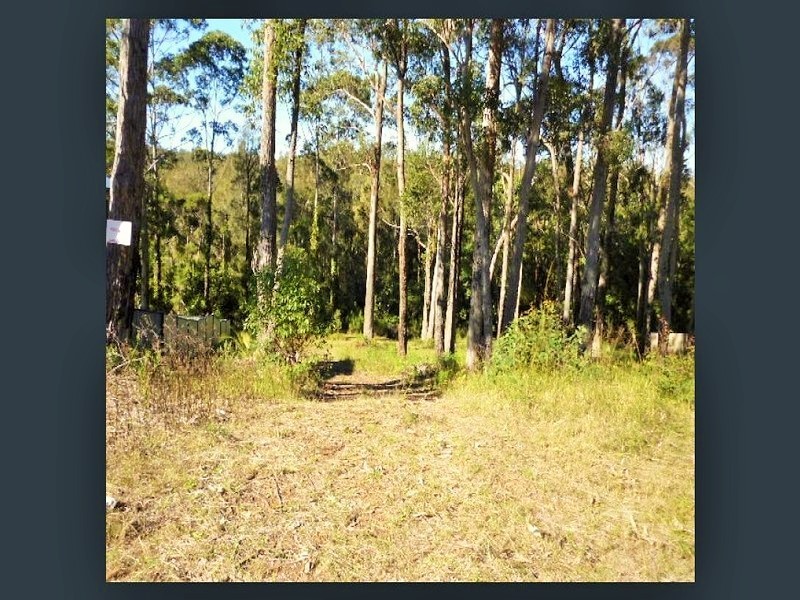 Catalina NSW 2536