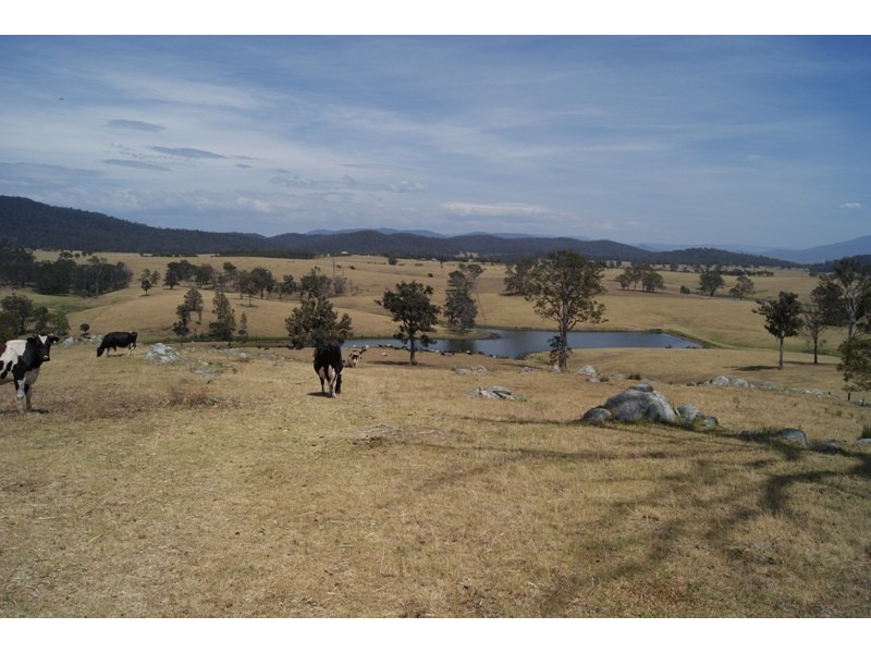 Coolagolite NSW 2550