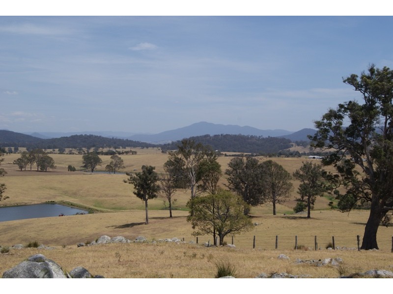 Coolagolite NSW 2550