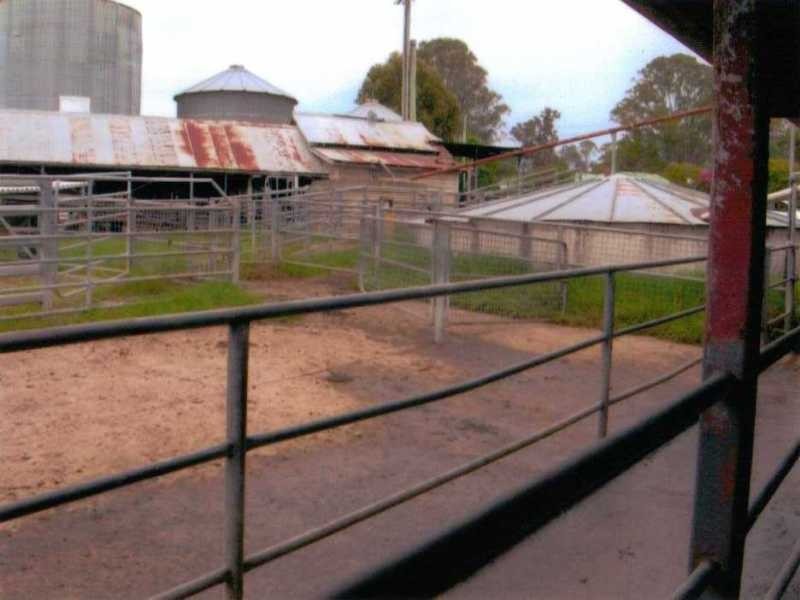 Coolagolite NSW 2550