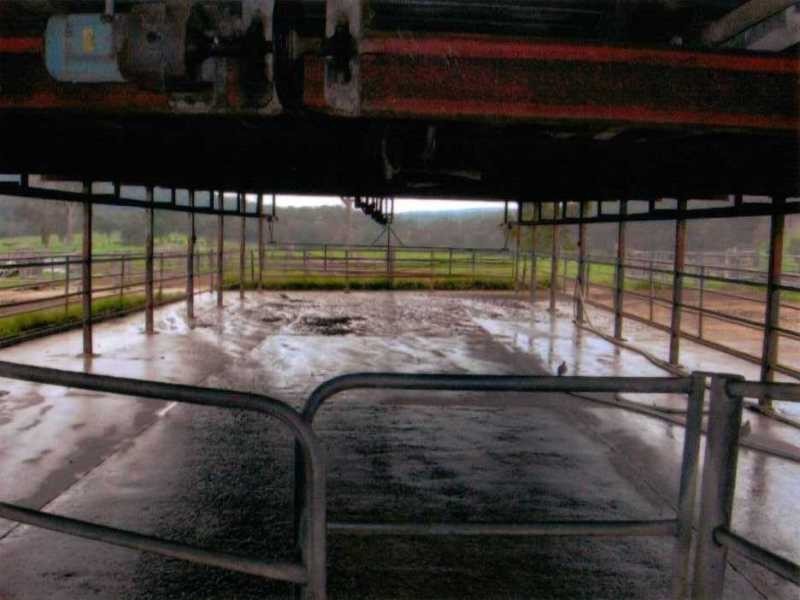 Coolagolite NSW 2550