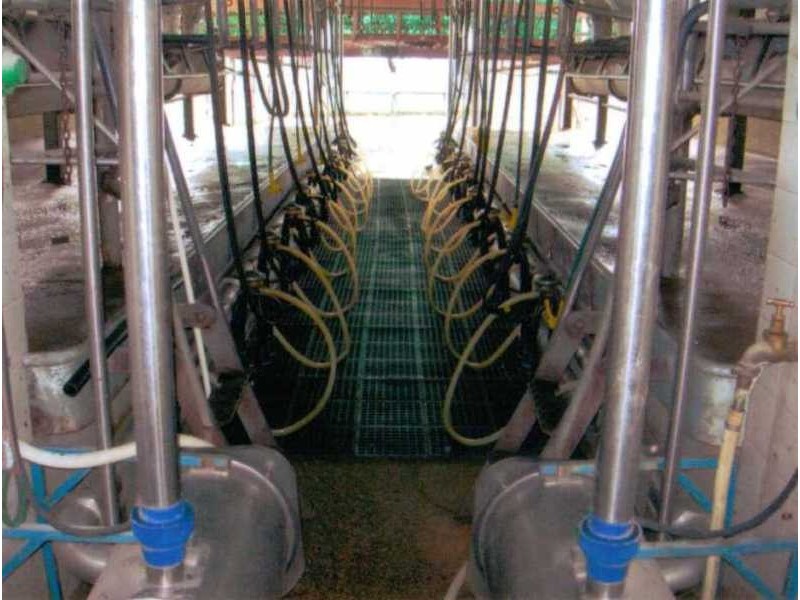 Coolagolite NSW 2550