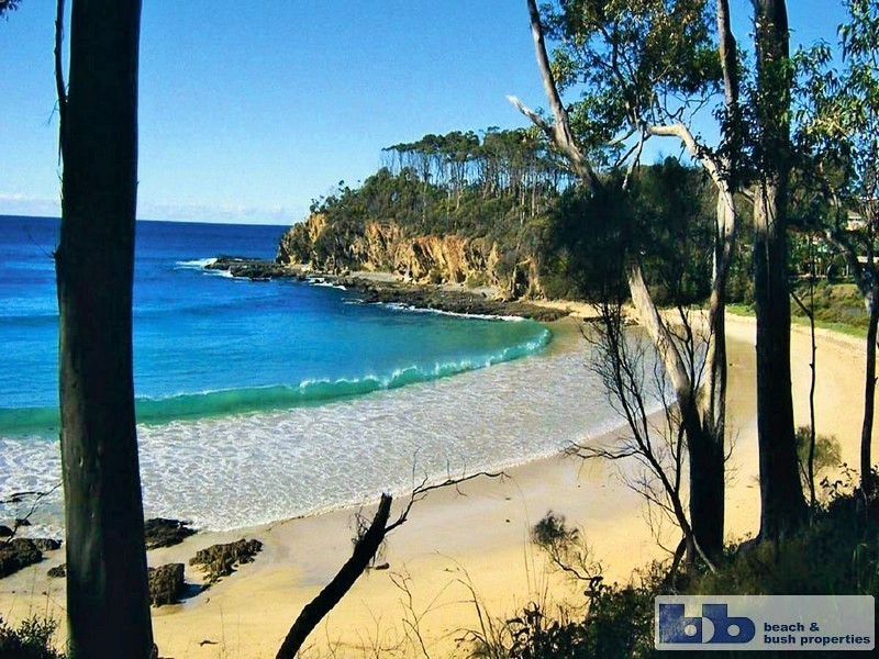 Lilli Pilli NSW 2536