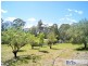 Moruya NSW 2537