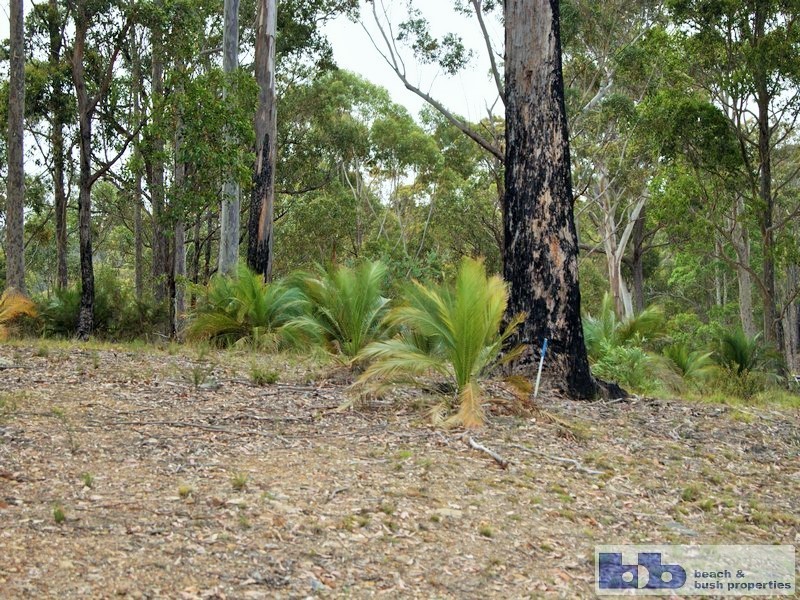 Moruya Heads NSW 2537