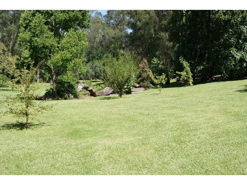 Deua River Valley NSW 2537