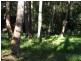 Burrill Lake NSW 2539