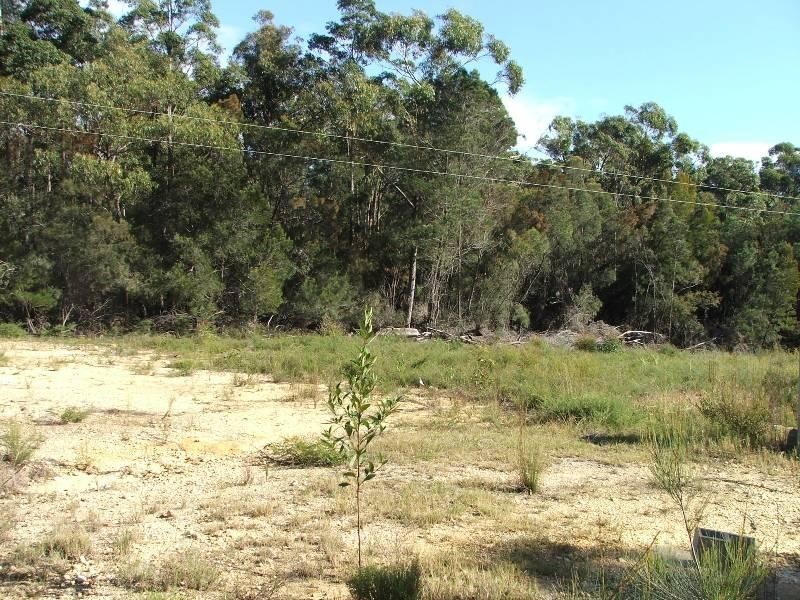 Mogo NSW 2536