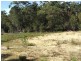 Mogo NSW 2536