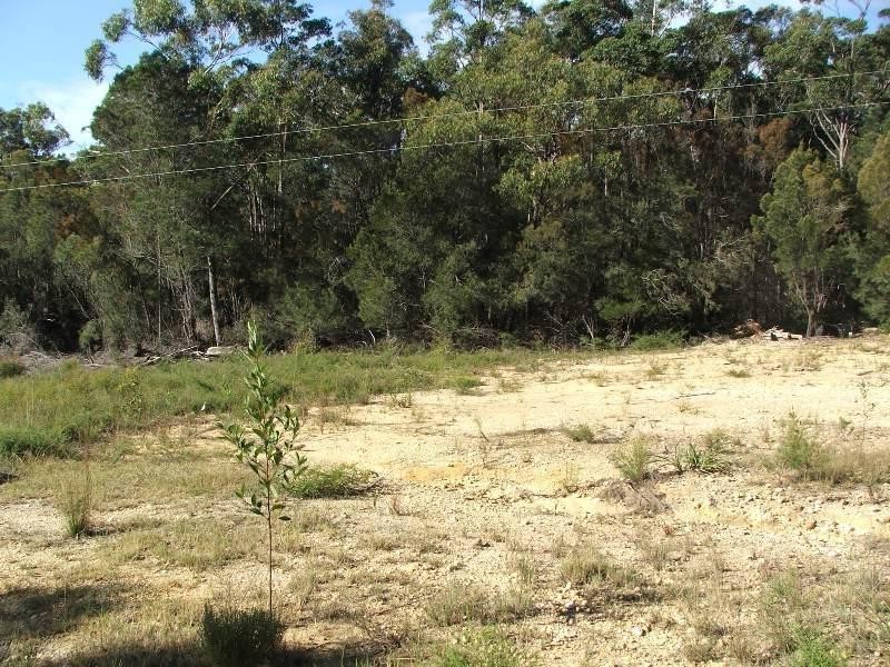 Mogo NSW 2536