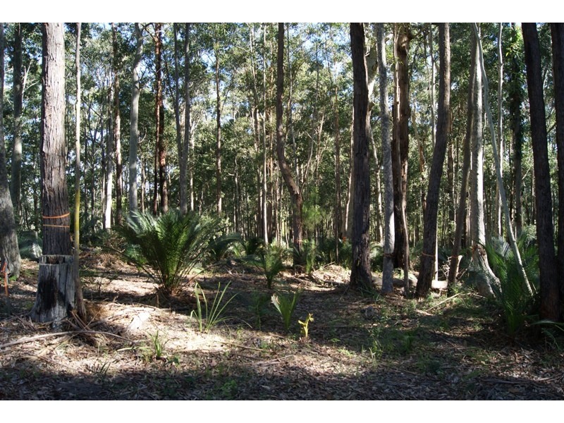Long Beach NSW 2536
