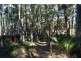 Long Beach NSW 2536