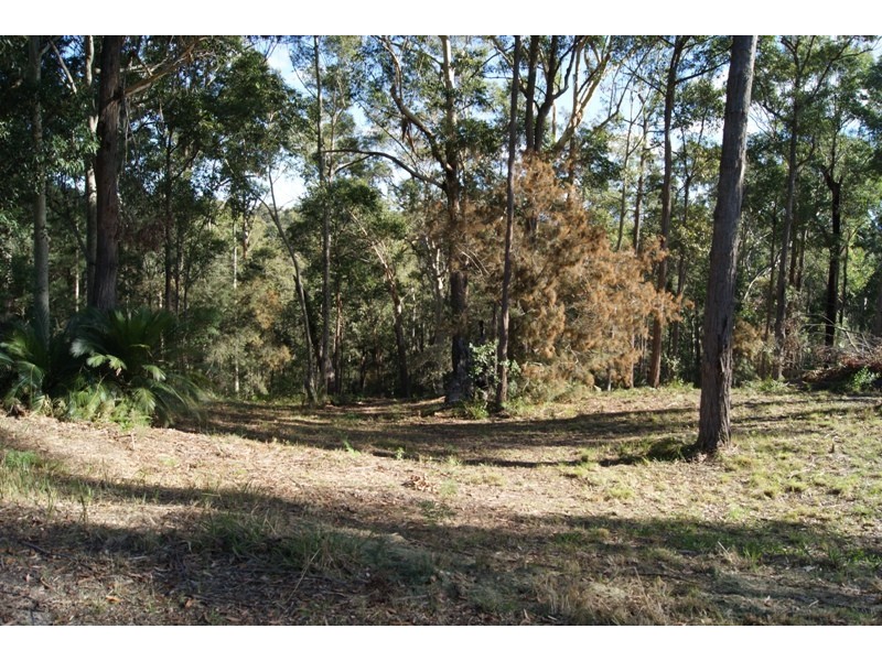 Surfside NSW 2536