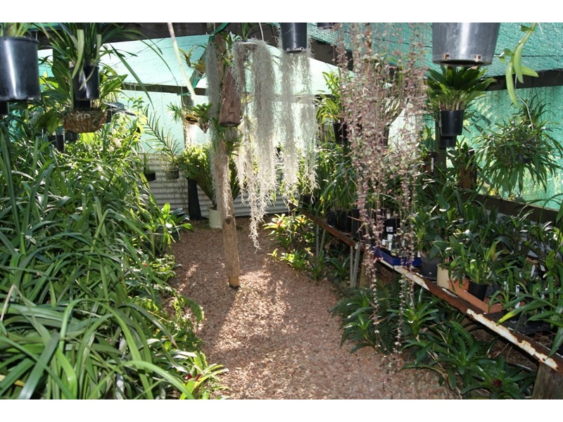 Lilli Pilli NSW 2536