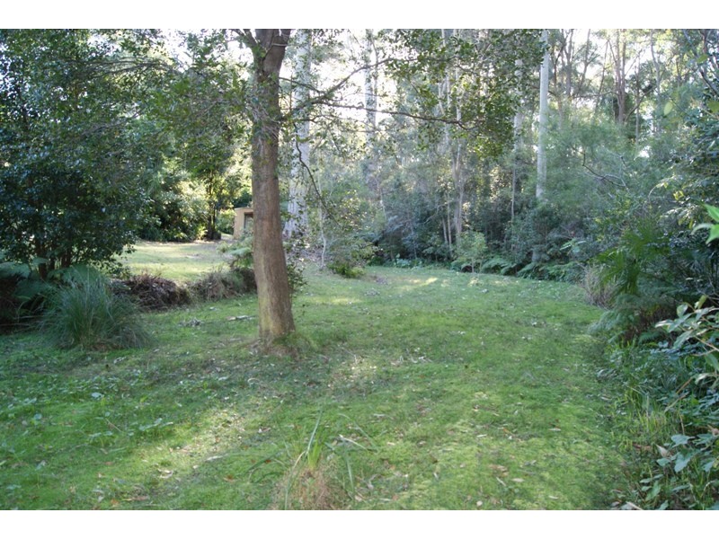 Lilli Pilli NSW 2536