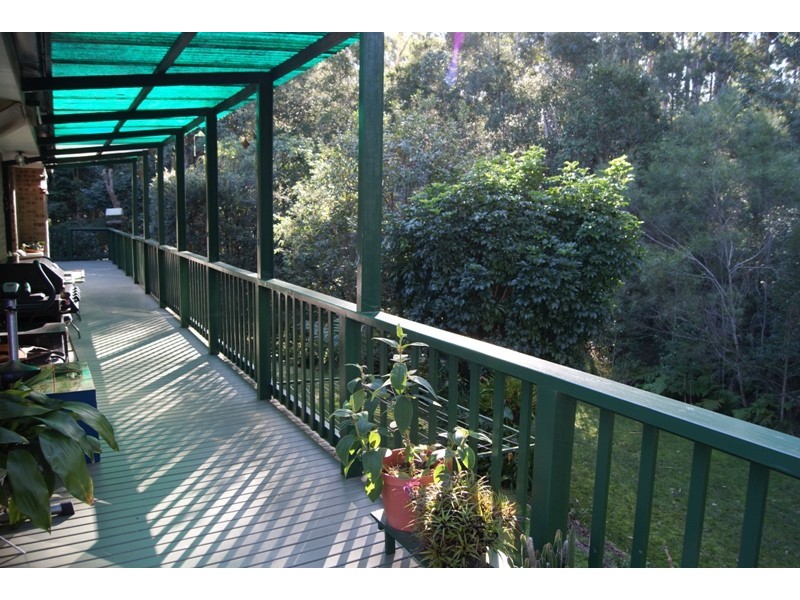 Lilli Pilli NSW 2536