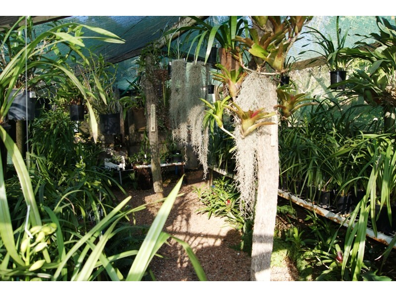 Lilli Pilli NSW 2536