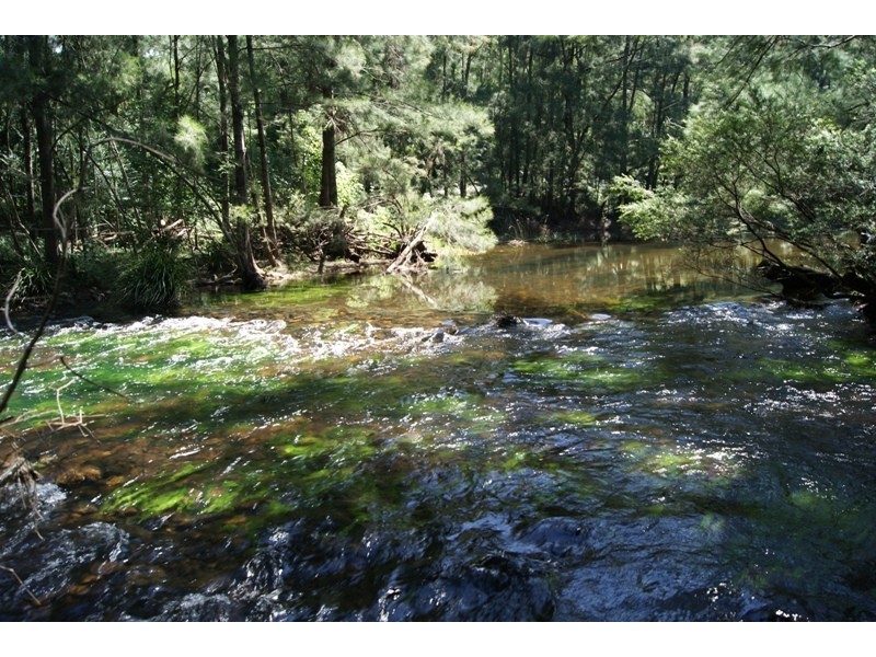 Deua River Valley NSW 2537