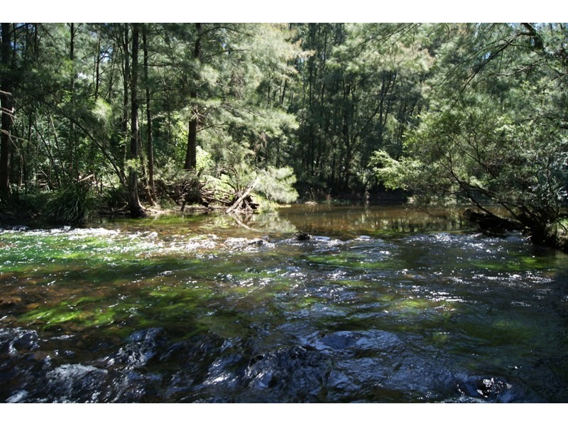 Deua River Valley NSW 2537
