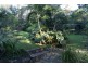 Lilli Pilli NSW 2536