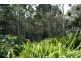 Long Beach NSW 2536