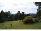 Nelligen NSW 2536