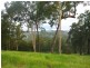 Nelligen NSW 2536