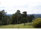 Nelligen NSW 2536