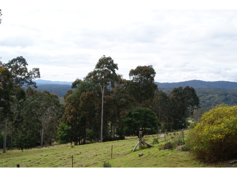 Nelligen NSW 2536