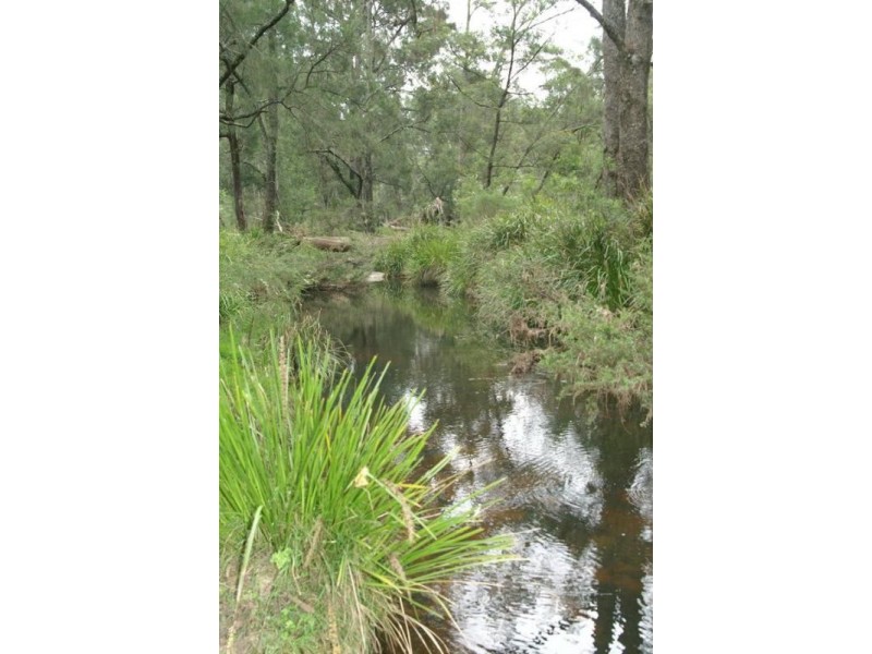 Nelligen NSW 2536