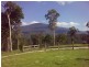 Nelligen NSW 2536