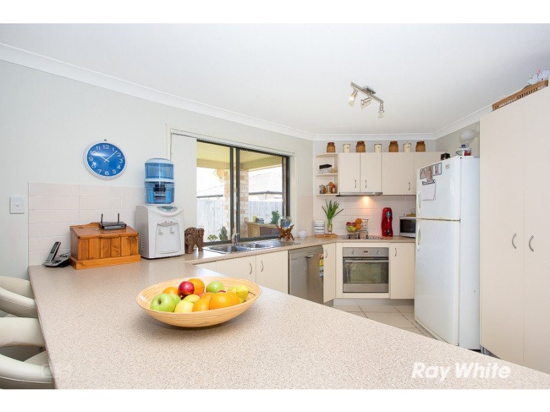 16 Treefrog Street, Ningi QLD 4511