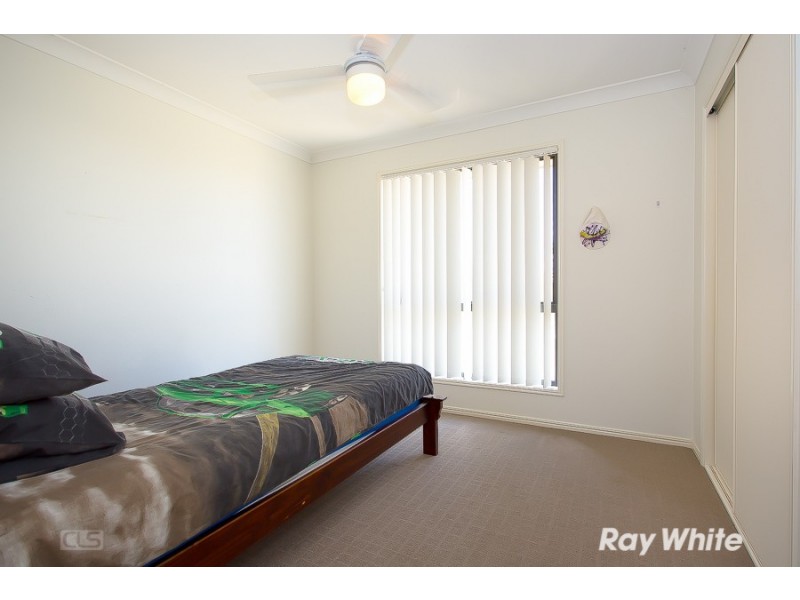 16 Treefrog Street, Ningi QLD 4511