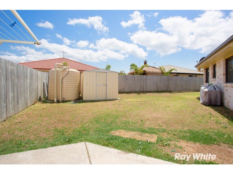 16 Treefrog Street, Ningi QLD 4511