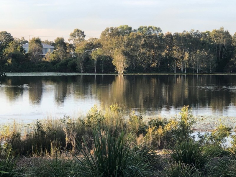59 Lakeside Crescent, Ningi QLD 4511