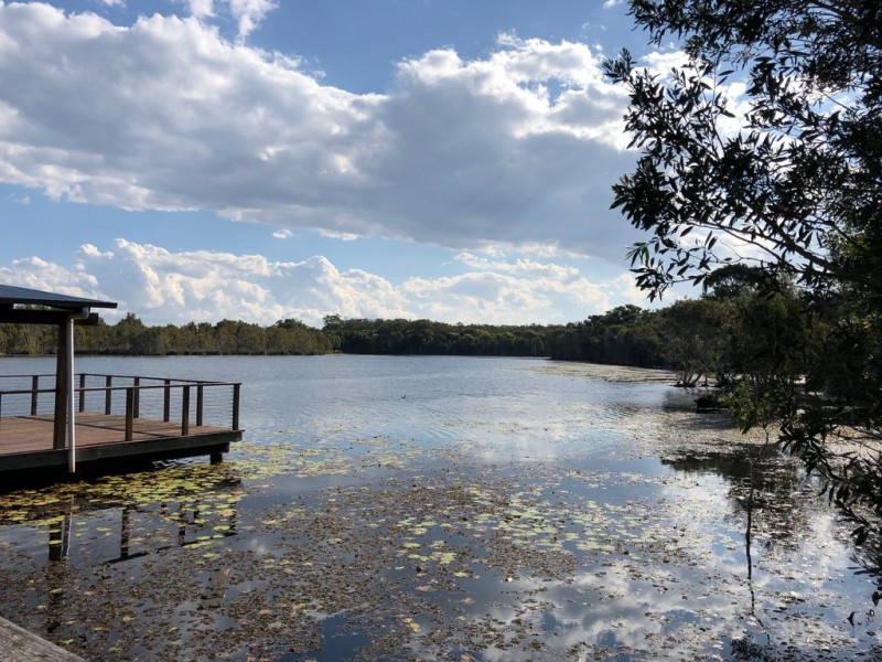 66 Sandheath Place, Ningi QLD 4511